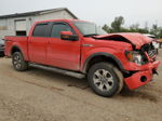 2011 Ford F150 Supercrew Red vin: 1FTFW1EF5BFC71759