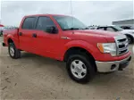 2014 Ford F150 Supercrew Red vin: 1FTFW1EF5EKD12032