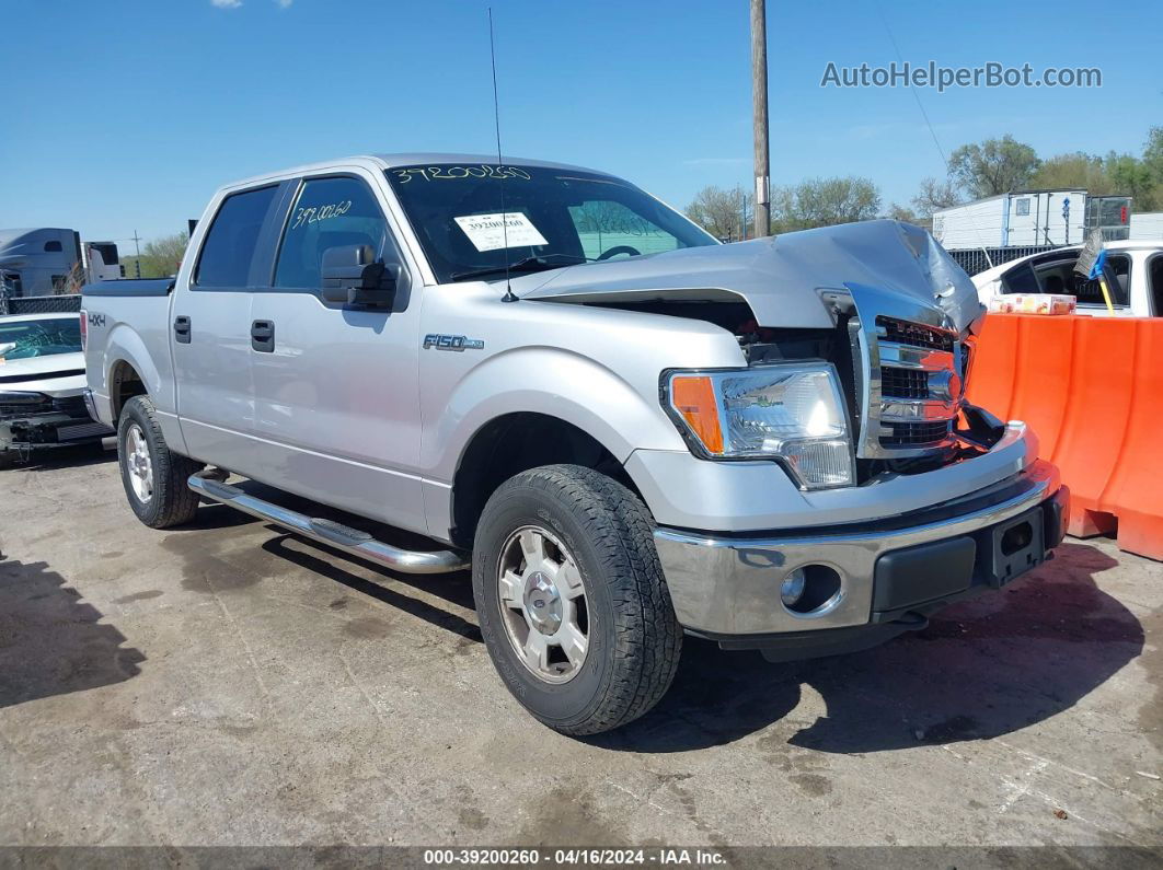 2014 Ford F-150 Xlt Silver vin: 1FTFW1EF5EKD75843