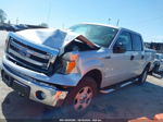 2014 Ford F-150 Xlt Silver vin: 1FTFW1EF5EKD75843