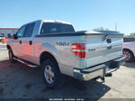 2014 Ford F-150 Xlt Silver vin: 1FTFW1EF5EKD75843