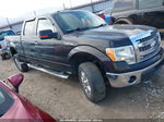 2014 Ford F-150 Xlt Black vin: 1FTFW1EF5EKE21378