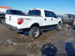 2014 Ford F-150 Xlt Белый vin: 1FTFW1EF6EFC74996