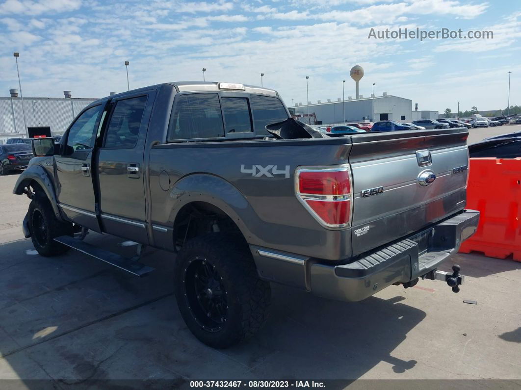 2014 Ford F-150 Xl/xlt/stx/fx4/lariat Серый vin: 1FTFW1EF6EFC92947