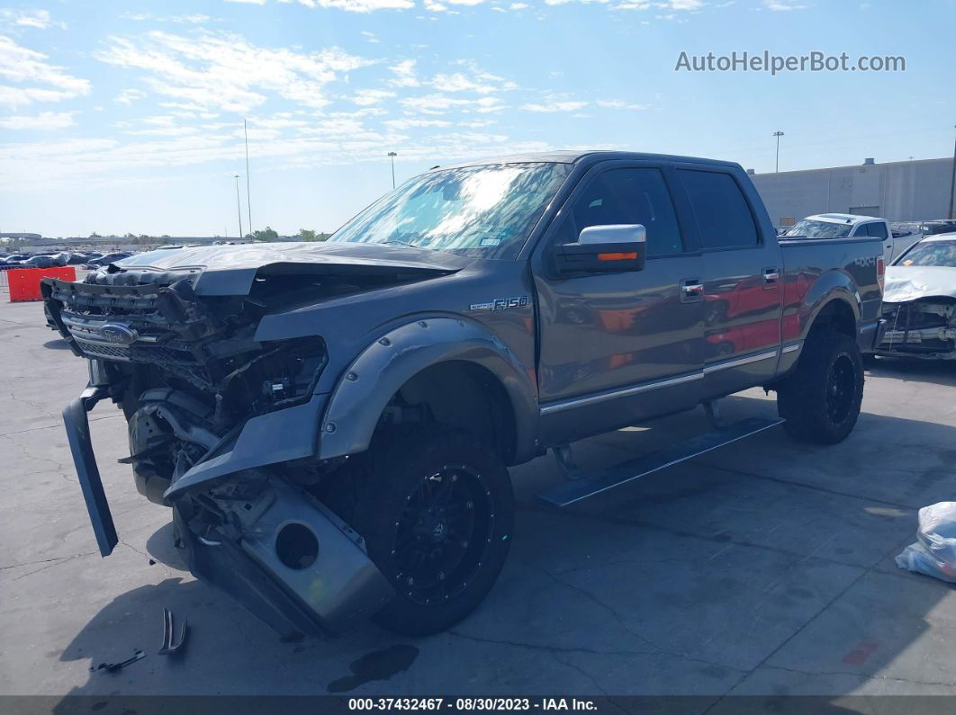 2014 Ford F-150 Xl/xlt/stx/fx4/lariat Серый vin: 1FTFW1EF6EFC92947