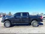 2014 Ford F-150 Stx Black vin: 1FTFW1EF6EKD29258