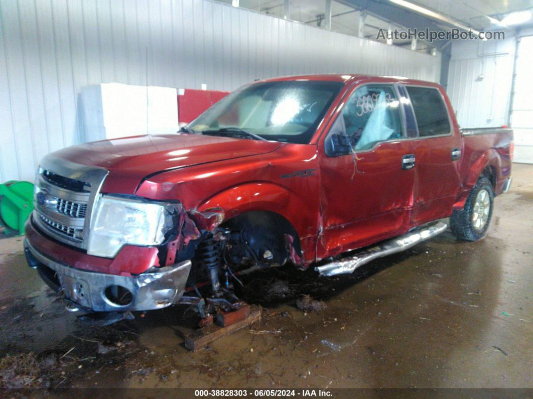 2014 Ford F-150 Xlt Maroon vin: 1FTFW1EF6EKD91422