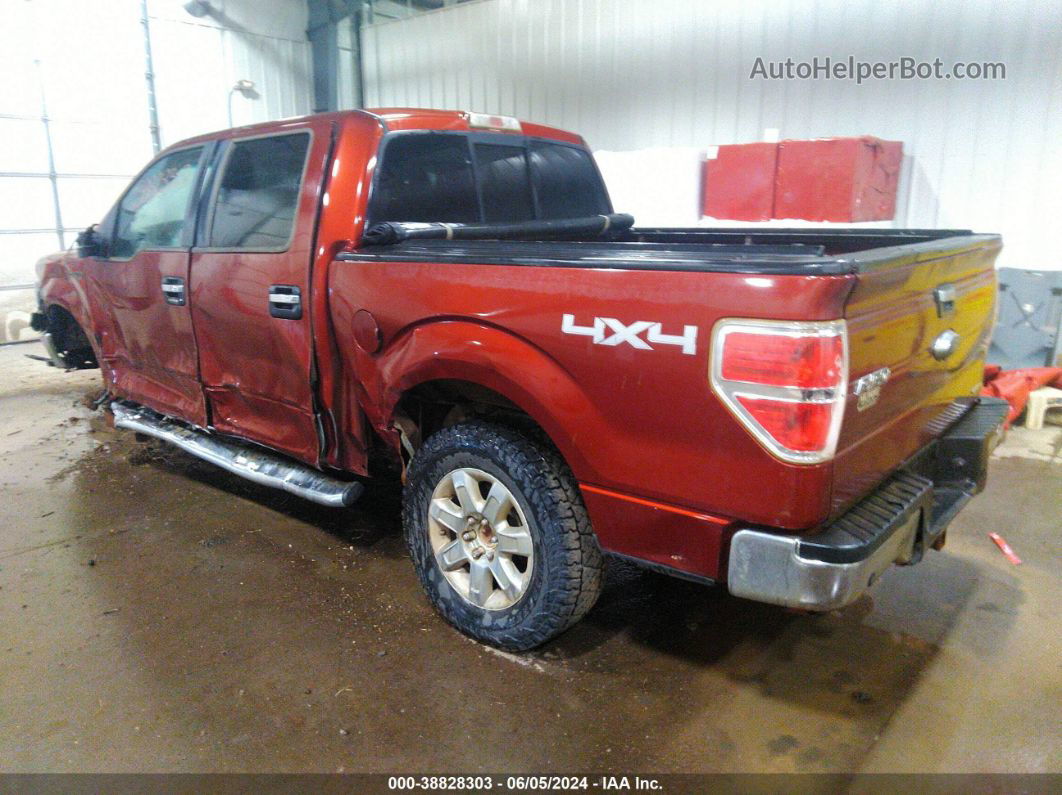 2014 Ford F-150 Xlt Maroon vin: 1FTFW1EF6EKD91422