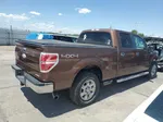 2011 Ford F150 Supercrew Brown vin: 1FTFW1EF7BKD48350