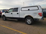 2011 Ford F150 Supercrew White vin: 1FTFW1EF7BKD63446