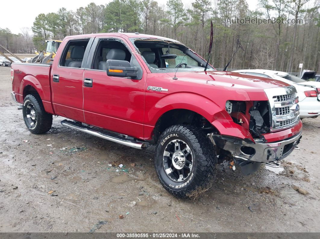 2014 Ford F-150 Xlt Red vin: 1FTFW1EF7EFC25709