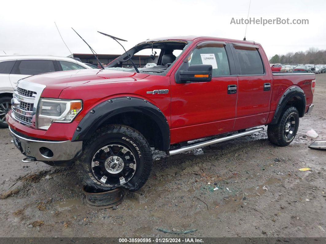 2014 Ford F-150 Xlt Red vin: 1FTFW1EF7EFC25709