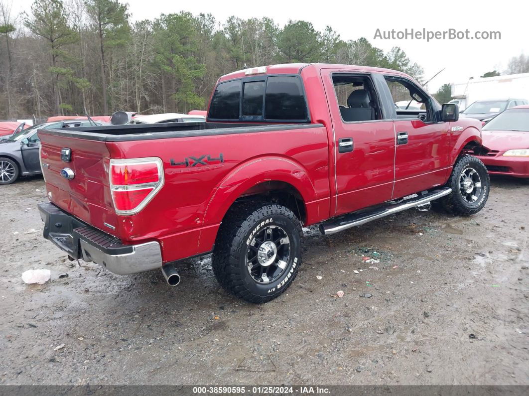 2014 Ford F-150 Xlt Red vin: 1FTFW1EF7EFC25709