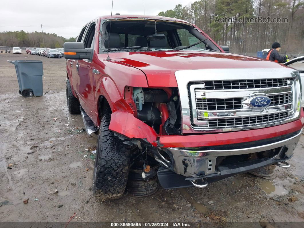 2014 Ford F-150 Xlt Red vin: 1FTFW1EF7EFC25709