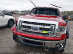 2014 Ford F-150 Xlt Красный vin: 1FTFW1EF7EFC25709