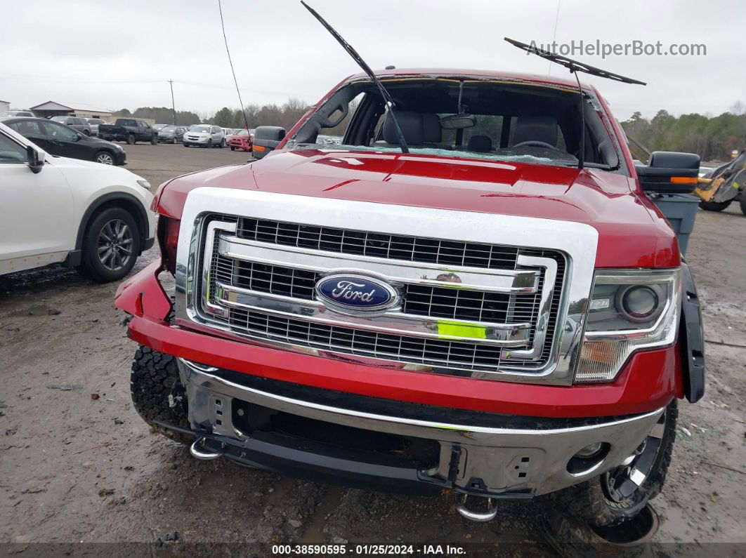 2014 Ford F-150 Xlt Red vin: 1FTFW1EF7EFC25709