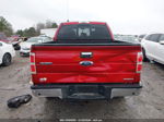 2014 Ford F-150 Xlt Красный vin: 1FTFW1EF7EFC25709