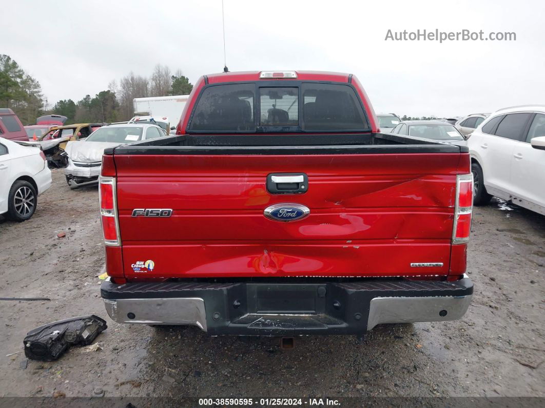 2014 Ford F-150 Xlt Red vin: 1FTFW1EF7EFC25709