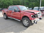 2014 Ford F150 Supercrew Red vin: 1FTFW1EF7EFC46768