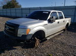 2014 Ford F150 Supercrew Silver vin: 1FTFW1EF7EKG51102