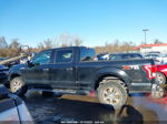 2017 Ford F-150 Xlt Black vin: 1FTFW1EF7HKC21123