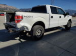 2011 Ford F150 Supercrew Белый vin: 1FTFW1EF8BFC96512