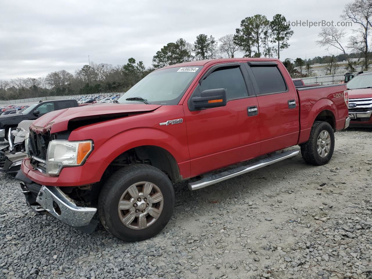 2011 Ford F150 Supercrew Red vin: 1FTFW1EF8BKD17141