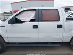 2014 Ford F-150 Stx White vin: 1FTFW1EF8EFC70710