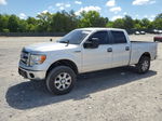 2014 Ford F150 Supercrew Silver vin: 1FTFW1EF8EKE22153