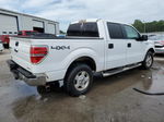 2014 Ford F150 Supercrew White vin: 1FTFW1EF8EKE59011