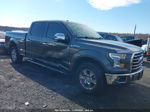 2017 Ford F-150 Xlt Gray vin: 1FTFW1EF8HFA42565