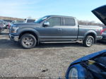 2017 Ford F-150 Xlt Gray vin: 1FTFW1EF8HFA42565