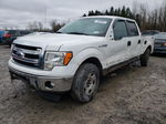 2014 Ford F150 Supercrew White vin: 1FTFW1EF9EFC10533