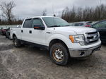 2014 Ford F150 Supercrew White vin: 1FTFW1EF9EFC10533