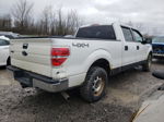 2014 Ford F150 Supercrew White vin: 1FTFW1EF9EFC10533