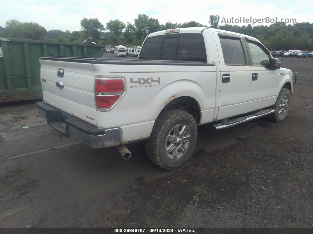 2014 Ford F-150 Xlt White vin: 1FTFW1EF9EKF80291