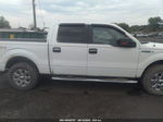 2014 Ford F-150 Xlt White vin: 1FTFW1EF9EKF80291