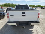 2011 Ford F150 Supercrew White vin: 1FTFW1EFXBFA86901