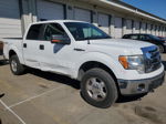 2011 Ford F150 Supercrew White vin: 1FTFW1EFXBKD76627