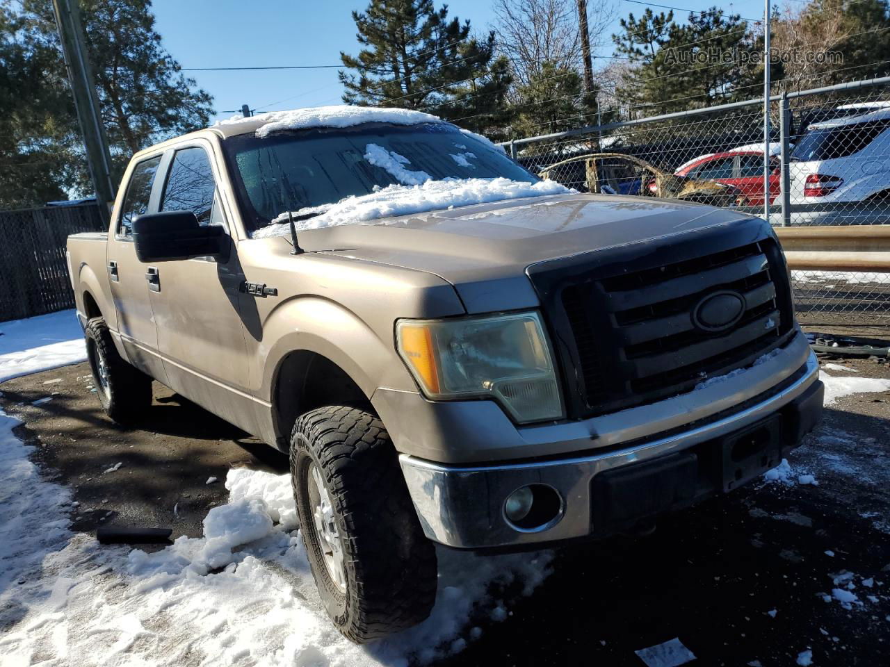 2011 Ford F150 Supercrew Silver vin: 1FTFW1EFXBKE19668