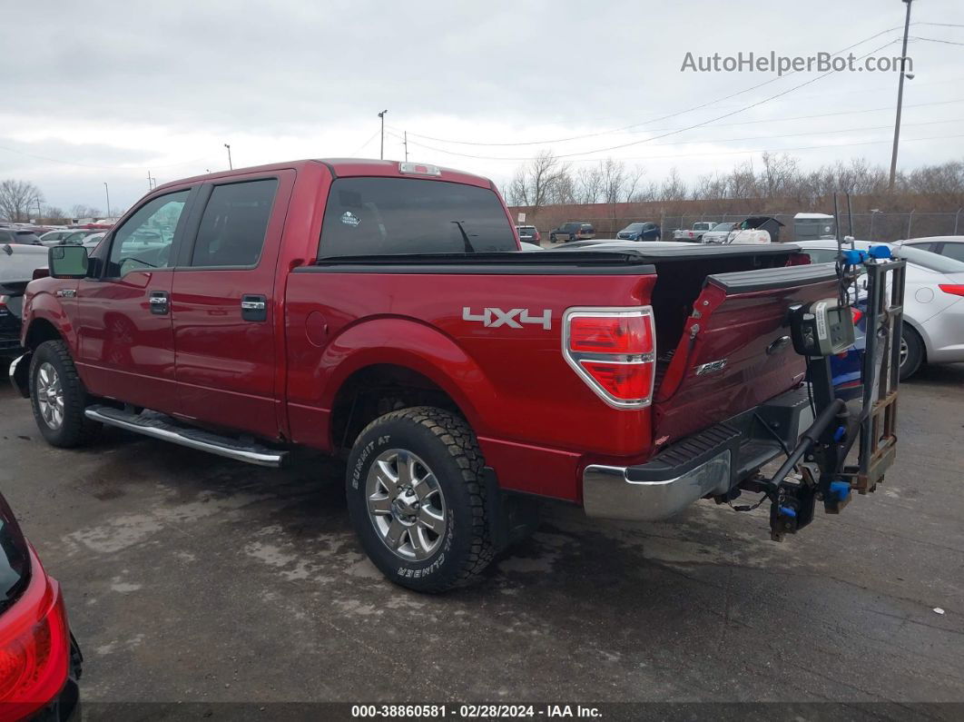 2014 Ford F-150 Xlt Burgundy vin: 1FTFW1EFXEFB08383