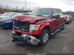 2014 Ford F-150 Xlt Бордовый vin: 1FTFW1EFXEFB08383