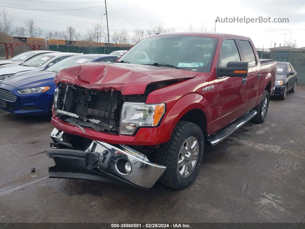 2014 Ford F-150 Xlt Burgundy vin: 1FTFW1EFXEFB08383