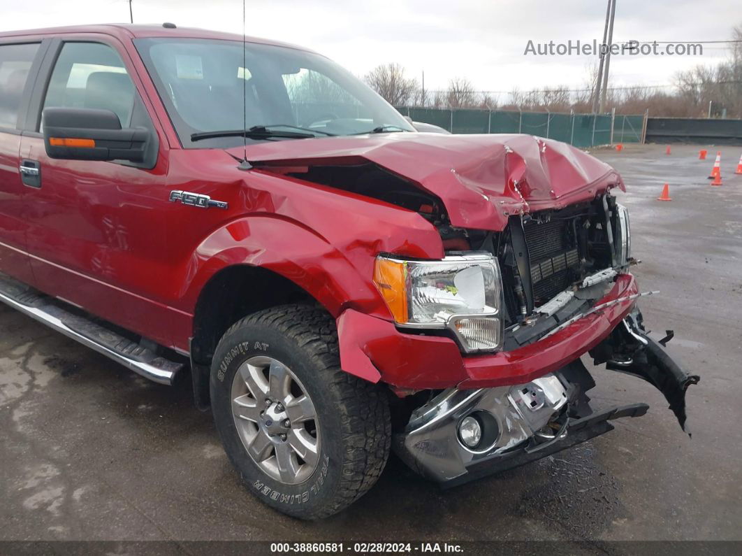 2014 Ford F-150 Xlt Burgundy vin: 1FTFW1EFXEFB08383