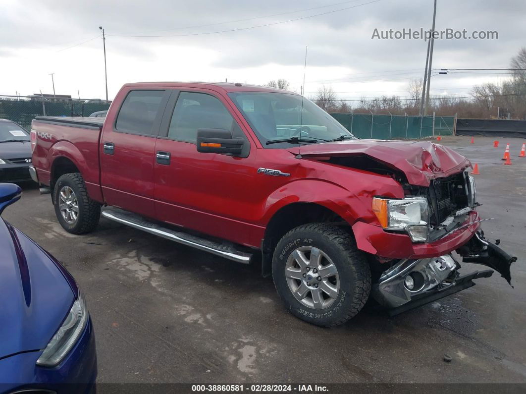 2014 Ford F-150 Xlt Burgundy vin: 1FTFW1EFXEFB08383