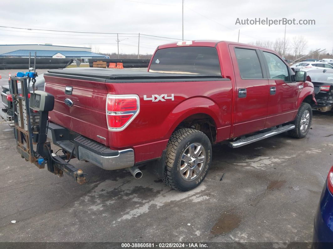 2014 Ford F-150 Xlt Burgundy vin: 1FTFW1EFXEFB08383