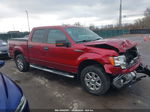 2014 Ford F-150 Xlt Бордовый vin: 1FTFW1EFXEFB08383