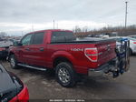 2014 Ford F-150 Xlt Бордовый vin: 1FTFW1EFXEFB08383