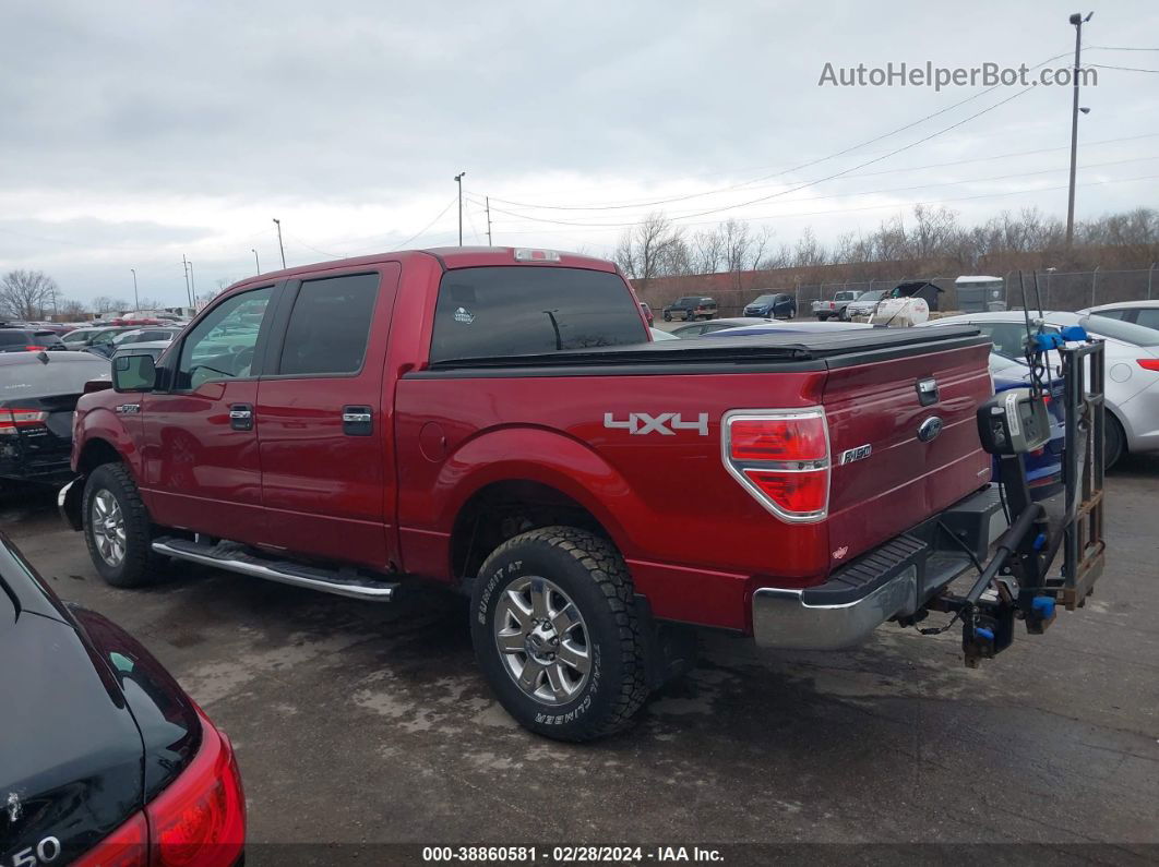 2014 Ford F-150 Xlt Burgundy vin: 1FTFW1EFXEFB08383