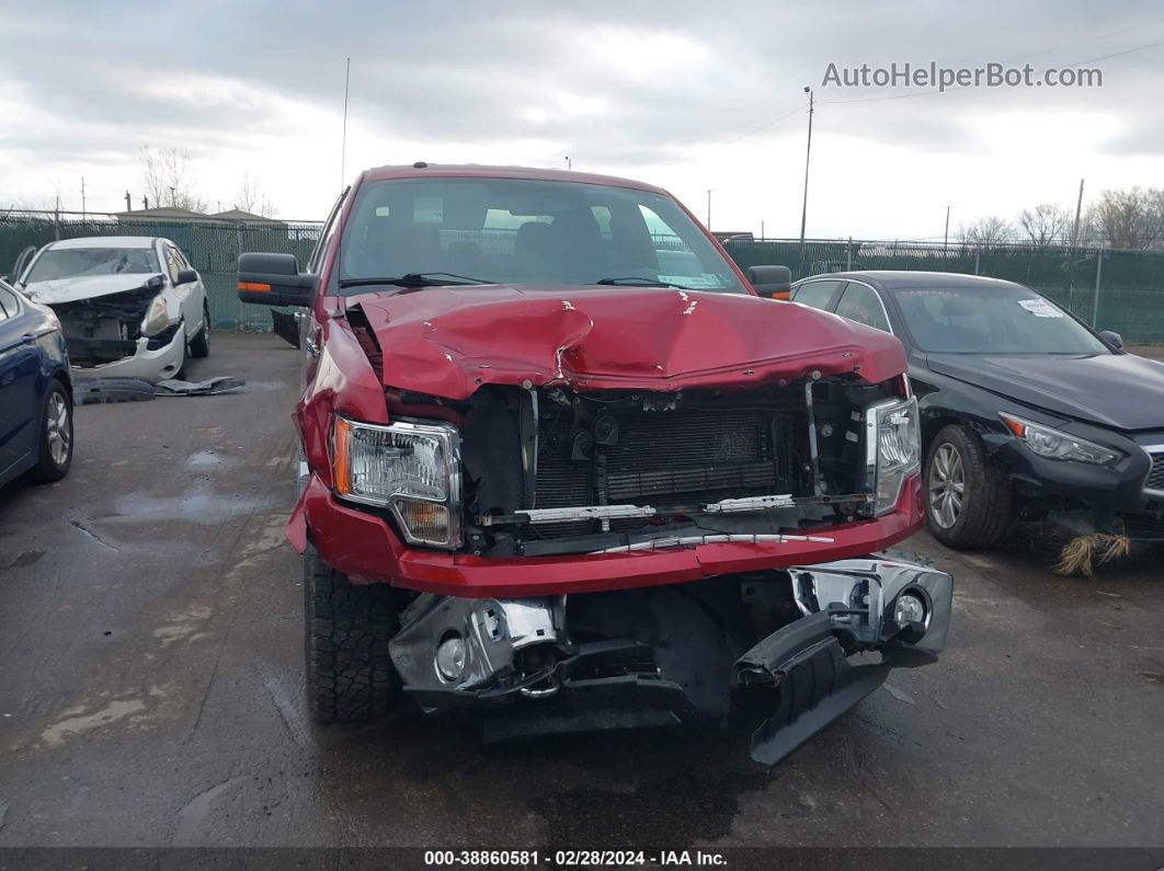 2014 Ford F-150 Xlt Burgundy vin: 1FTFW1EFXEFB08383